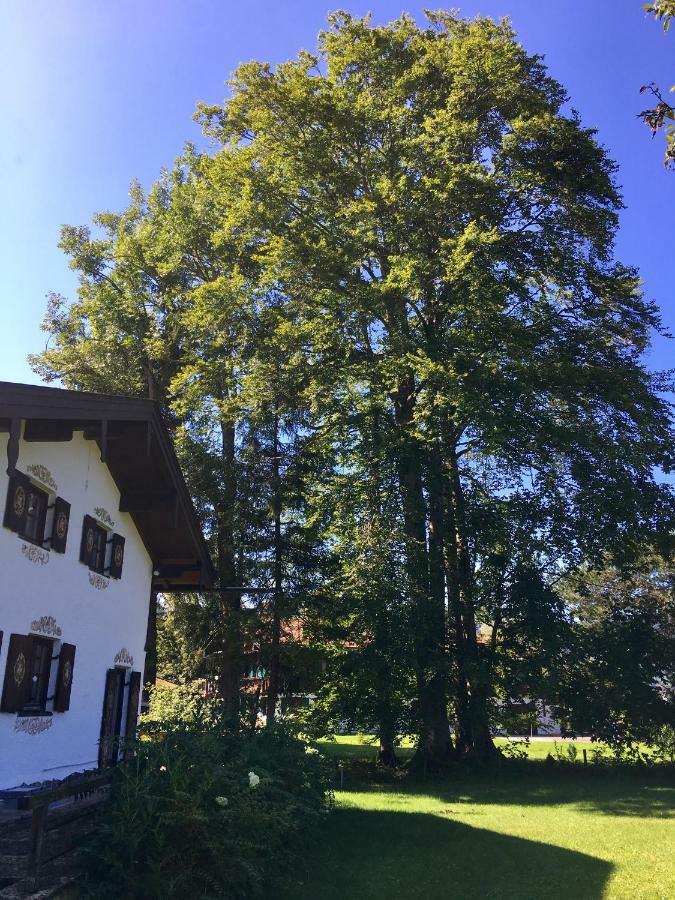 Traumhaftes Ferienhaus Direkt Am Tegernsee Rotta 外观 照片